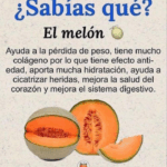 Mucho más que una fruta: los grandes beneficios del melón”