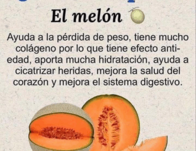 Mucho más que una fruta: los grandes beneficios del melón”