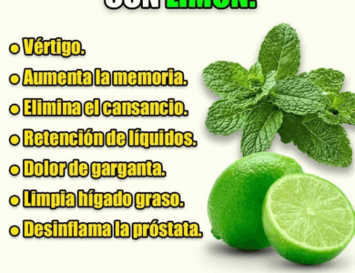 JUGÓ DE HIERBABUENA CON LIMÓN