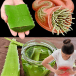 Sabila miel y limón