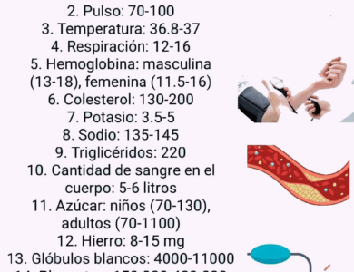 ESTAS SEMILLAS DEJARÍAN SIN TRABAJO ,A MUCHOS DOCTORES