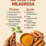 LA RAÍZ QUE LO CURA TODO… ¡Y PROBABLEMENTE YA LA TIENES EN CASA