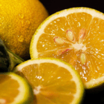 Beneficios y Usos Medicinales de las Semillas de Limón: Propiedades, Recetas y Precauciones