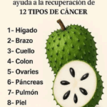 Guanábana: La Fruta Tropical con Poder Medicinal