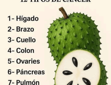 Guanábana: La Fruta Tropical con Poder Medicinal