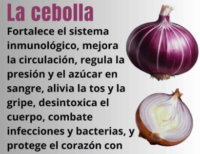 deja de visitar farmacia la solucion esta en tu cocina agua de cebolla