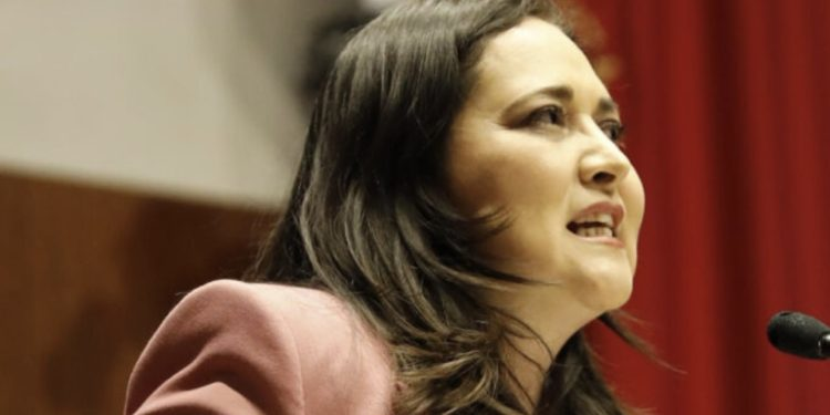 Senadora propone retirar Visa a extranjeros que discriminen
