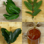 Receta de hojas recomendada por el Dr. Suárez