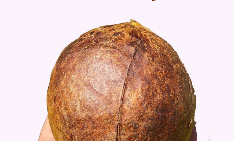 Usos y beneficios de la semilla de aguacate: un tesoro escondido