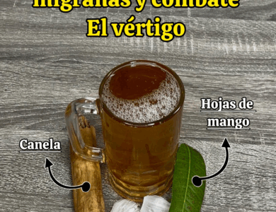 HOJA DE MANGO: Un remedio natural para cuidar tu cerebro, aliviar migrañas y prevenir derrames cerebrales