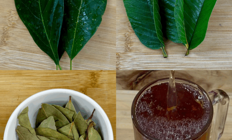 REMEDIO CASERO NATURAL: HOJAS DE MANGO, LAUREL Y GUANÁBANA