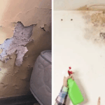 Cómo quitar la humedad de las paredes y que no vuelva nunca más: guía práctica y consejos clave