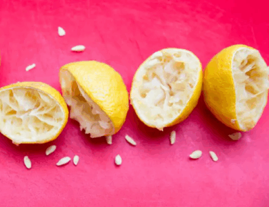 ¡Beneficios sorprendentes de las semillas de limón que no sabías! ¡Beneficios sorprendentes de las semillas de limón que no sabías!