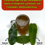 Receta natural inspirada en los consejos del Dr. Frank Suárez Receta natural inspirada en los consejos del Dr. Frank Suárez