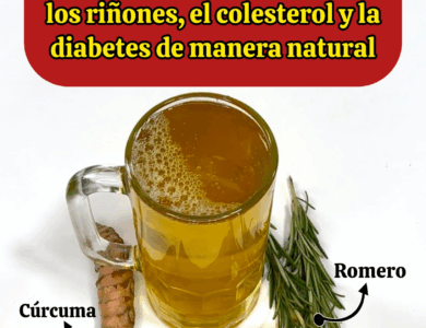 Le llaman “la saca azúcar de la sangre” — más de 100 años eliminando la diabetes, limpiando colesterol y cuidando los riñones Le llaman “la saca azúcar de la sangre” — más de 100 años eliminando la diabetes, limpiando colesterol y cuidando los riñones