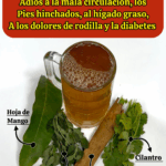 Dile adiós a la mala circulación, la hinchazón, el hígado graso y la diabetes tipo 2