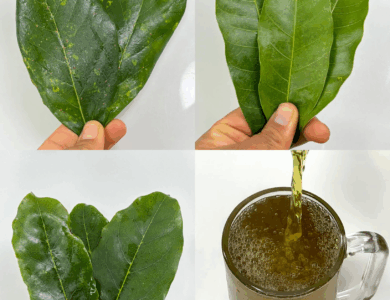 La bebida natural popularizada por el Dr. Frank Suárez La bebida natural popularizada por el Dr. Frank Suárez