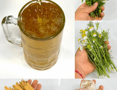 Receta de infusión casera para apoyar la circulación y aliviar dolores articulares