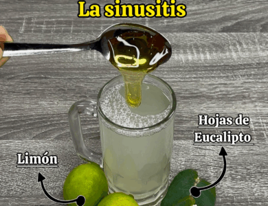 ¿Mocos en los pulmones? ¿Tos seca? ¿Sinusitis? ¿Mocos en los pulmones? ¿Tos seca? ¿Sinusitis?