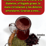 A mis 50 años logré sanar mi cuerpo de forma natural A mis 50 años logré sanar mi cuerpo de forma natural