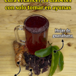 ¡La bebida natural que ayuda contra el cáncer, la mala circulación y la diabetes! ¡La bebida natural que ayuda contra el cáncer, la mala circulación y la diabetes!