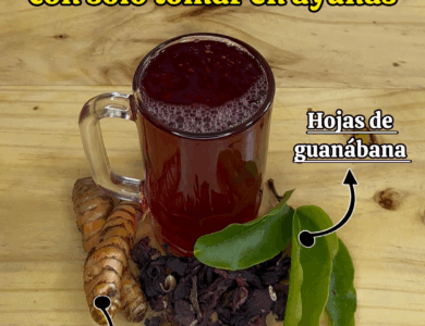 ¡La bebida natural que ayuda contra el cáncer, la mala circulación y la diabetes! ¡La bebida natural que ayuda contra el cáncer, la mala circulación y la diabetes!