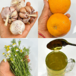 Este té cura la diabetes, la presión alta, el cáncer y mejora la circulación — ¡sin tomar pastillas! Este té cura la diabetes, la presión alta, el cáncer y mejora la circulación — ¡sin tomar pastillas!