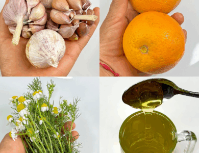 Este té cura la diabetes, la presión alta, el cáncer y mejora la circulación — ¡sin tomar pastillas!