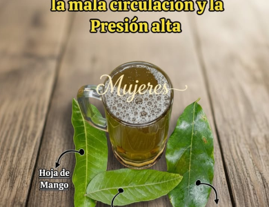 Hojas Milagrosas: Té de Guanábana