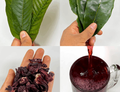 ¿Te sientes sin energía, estresada o con el hígado cargado?