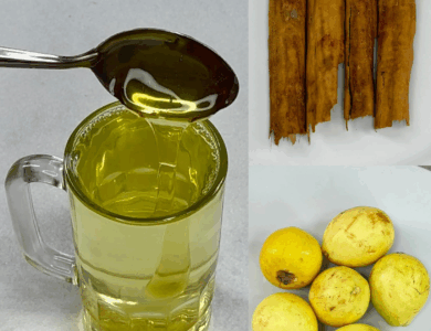 Té de canela con guayaba: el remedio natural que tu cuerpo agradecerá Té de canela con guayaba: el remedio natural que tu cuerpo agradecerá
