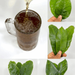 La infusión de 4 hojas que combate la diabetes, el cáncer, el hígado graso, la mala circulación y la presión alta… ¡sin pastillas!