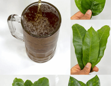 La infusión de 4 hojas que combate la diabetes, el cáncer, el hígado graso, la mala circulación y la presión alta… ¡sin pastillas! La infusión de 4 hojas que combate la diabetes, el cáncer, el hígado graso, la mala circulación y la presión alta… ¡sin pastillas!