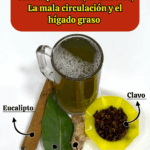 Bebida natural que ayuda a sanar el páncreas, controlar la diabetes, mejorar la circulación y depurar el hígado graso