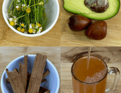 La semilla que está revolucionando la salud: combate el cáncer, la diabetes y la mala circulación