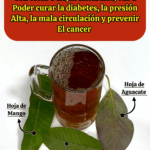 El Dr. Frank Suárez reveló esta bebida natural El Dr. Frank Suárez reveló esta bebida natural