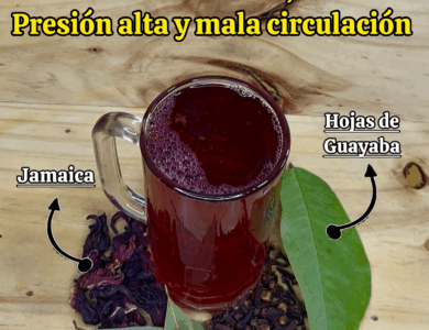 Infusión de Jamaica, Clavo, Laurel y Hojas de Guayaba Infusión de Jamaica, Clavo, Laurel y Hojas de Guayaba