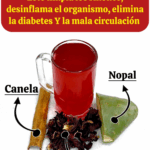 Limpia tus riñones y mejora tu circulación con esta bebida natural Limpia tus riñones y mejora tu circulación con esta bebida natural