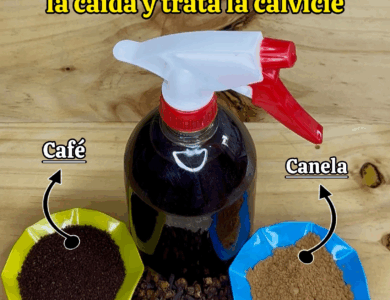 El Secreto Indio para Hacer Crecer el Cabello Rápido y Detener la Calvicie