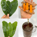 Bebida Natural Para la Diabetes, la Presión Alta y la Mala Circulación Bebida Natural Para la Diabetes, la Presión Alta y la Mala Circulación