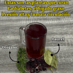 Bebida natural para la diabetes, el hígado graso, la presión alta y la mala circulación