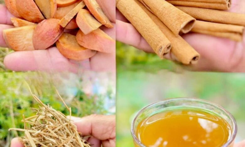 Infusión de Semilla de Aguacate con Canela y Manzanilla