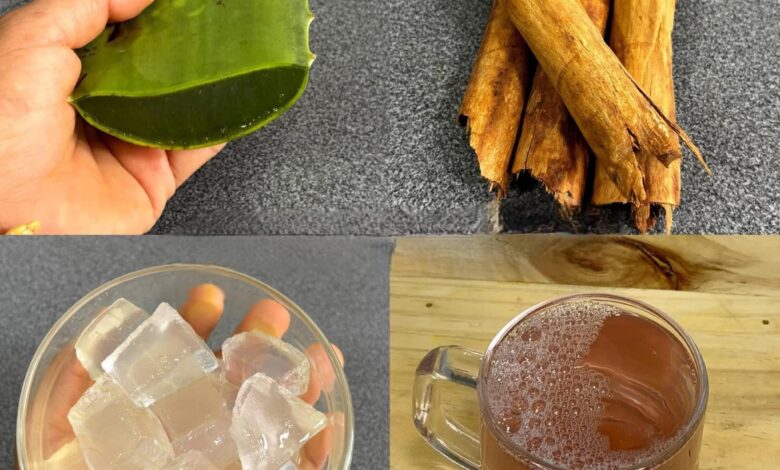 Infusión Casera de Sábila y Canela: Refrescante, Digestiva y Reconfortante