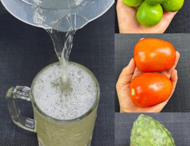 La Infusión Natural que Revoluciona el 2025: Bienestar con Guanábana, Tomate y Limón La Infusión Natural que Revoluciona el 2025: Bienestar con Guanábana, Tomate y Limón
