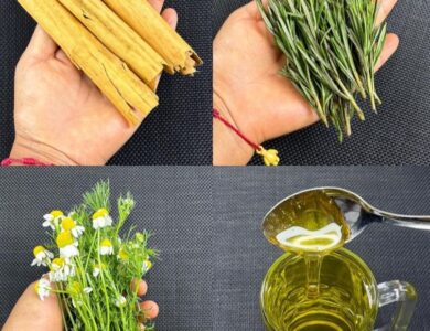 Infusión de Manzanilla, Romero y Canela: Un Alivio Natural para Dolores y Circulación Infusión de Manzanilla, Romero y Canela: Un Alivio Natural para Dolores y Circulación