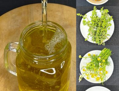 Infusión herbal de orégano, canela y manzanilla Infusión herbal de orégano, canela y manzanilla