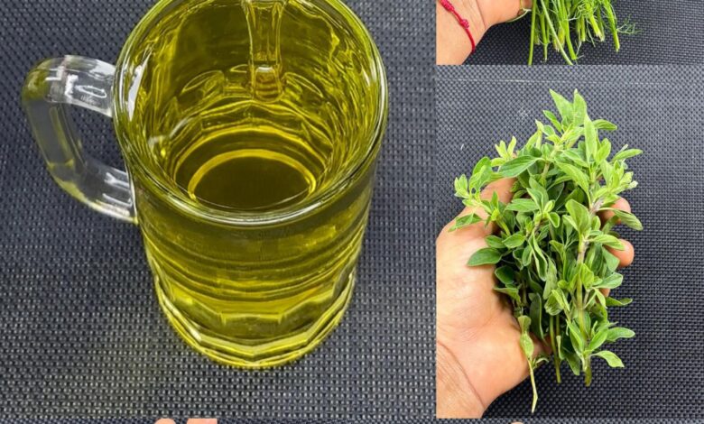 Infusión Natural para el Alivio de Dolores y la Circulación