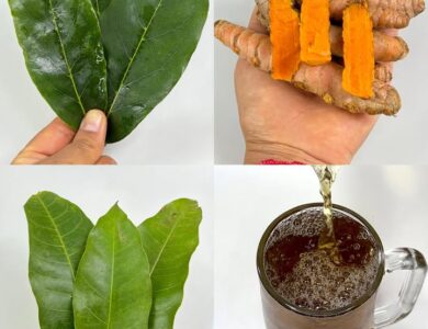 Bebida natural que ayuda a mejorar tu salud en solo 7 días Bebida natural que ayuda a mejorar tu salud en solo 7 días