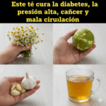 Una infusión natural para apoyar tu salud: controla la circulación, la presión y fortalece el organismo