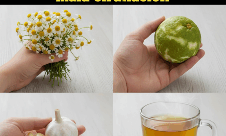 Una infusión natural para apoyar tu salud: controla la circulación, la presión y fortalece el organismo